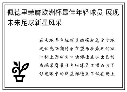 佩德里荣膺欧洲杯最佳年轻球员 展现未来足球新星风采 佩德里荣膺欧洲杯最佳年轻球员 展现未来足球新星风采