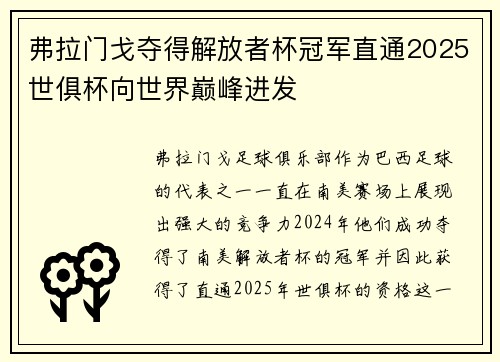 弗拉门戈夺得解放者杯冠军直通2025世俱杯向世界巅峰进发